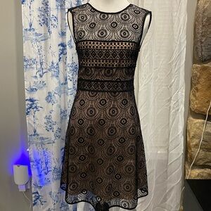NWOT Zara Lace Dress